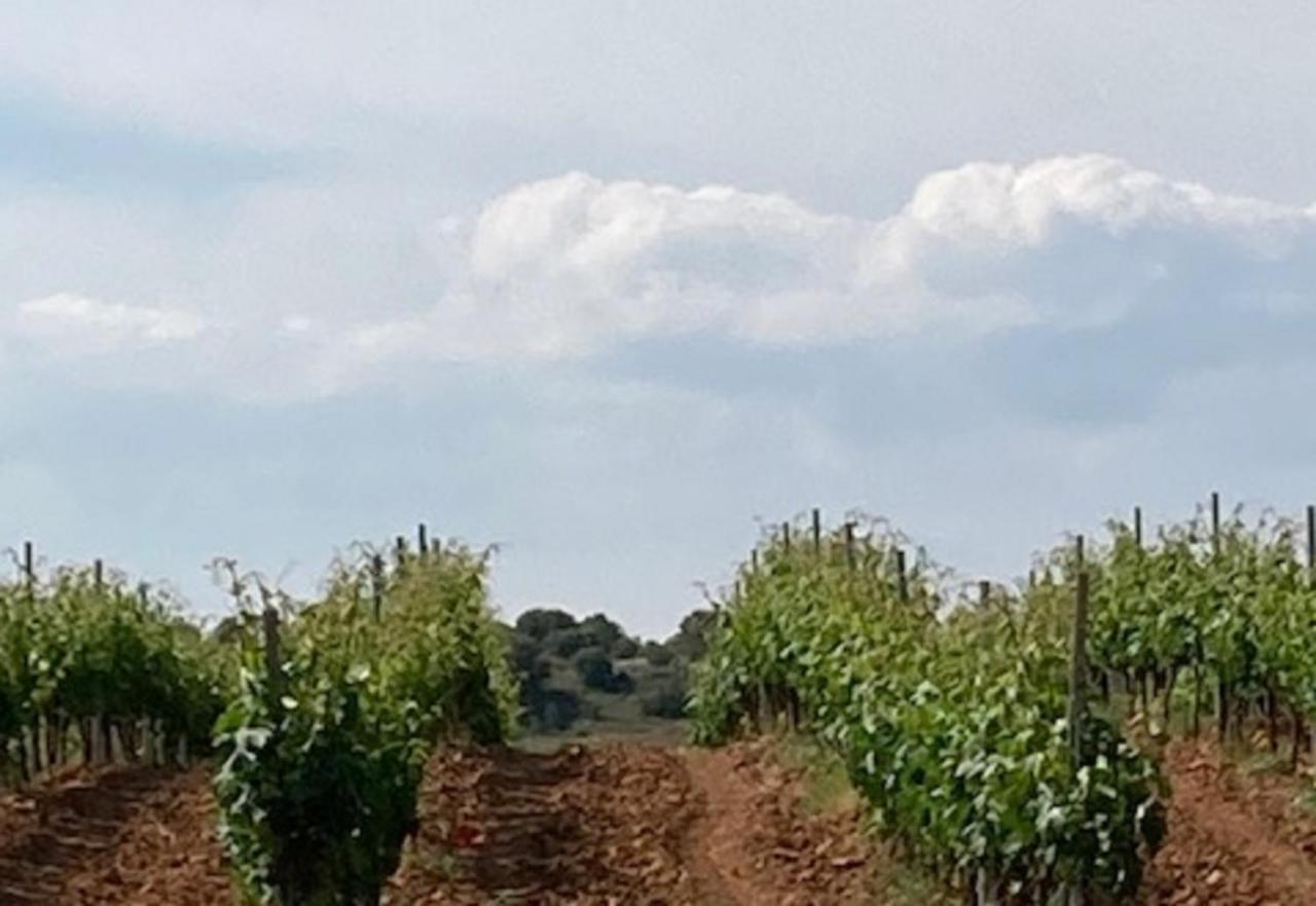 Apartamento Turistico Cerca Aranda De Duero La Ren Lecres Vadocondes Ngoại thất bức ảnh